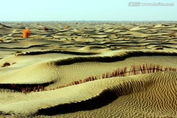 风浪印记