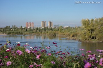 伊犁河湿地公园掠影