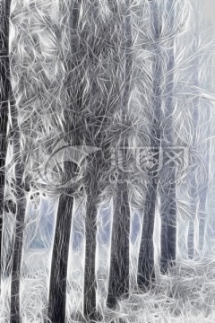 樹林