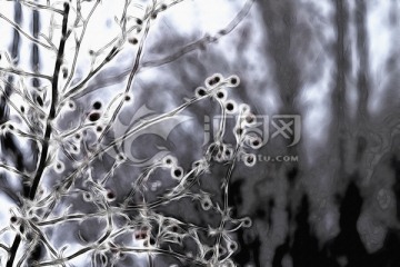 樹林