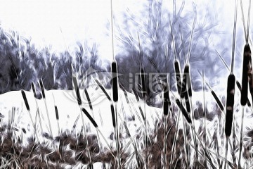 曠野