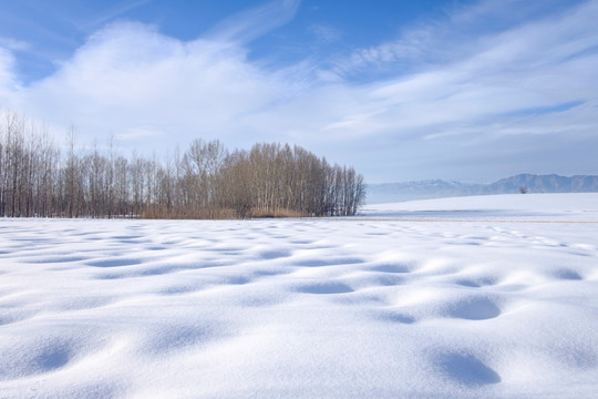 冬雪