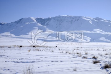 雪山