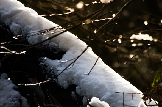 雪