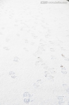 瑞雪兆申城