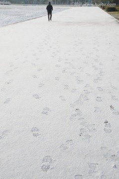 瑞雪兆申城