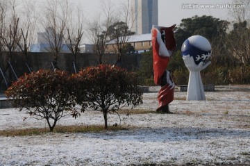 瑞雪兆申城