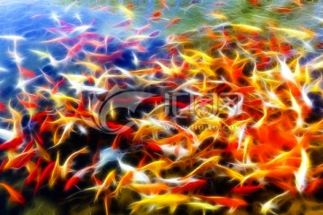 裝飾畫(huà) 魚(yú)群