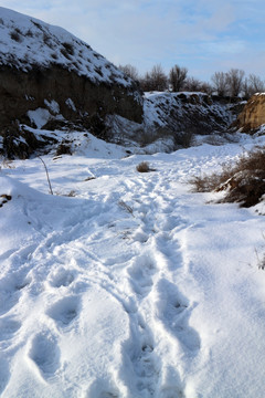 雪地足印