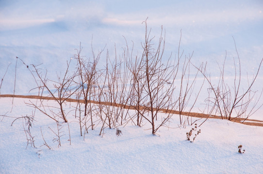 戈壁滩雪景