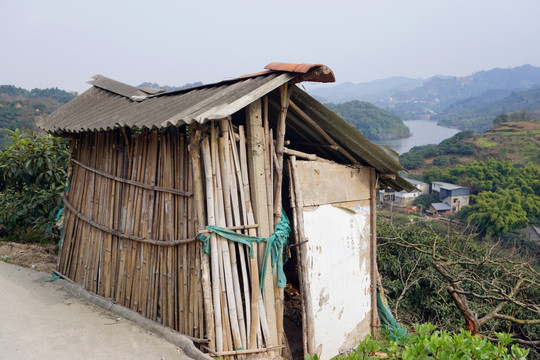 田园风光 果园看护住棚