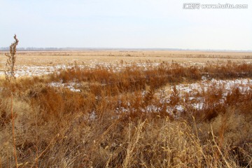 原野 田野 冰雪 北大荒 水稻