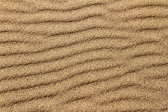 沙漠 沙洲 高清纹理 沙子