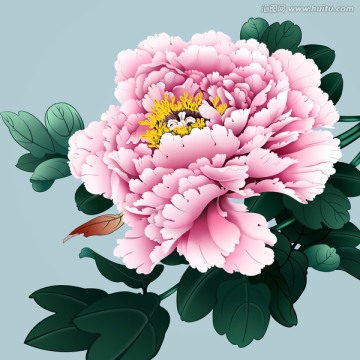 工筆畫 牡丹