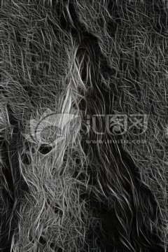 抽象線(xiàn)條 黑白線(xiàn)條