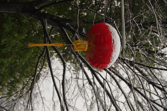 落雪灯笼