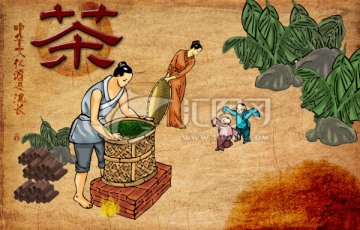 茶文化 制茶