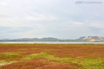 湖泊水岸