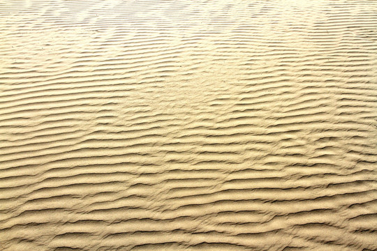 沙漠 沙洲 高清纹理 沙子