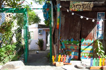 流浪猫屋