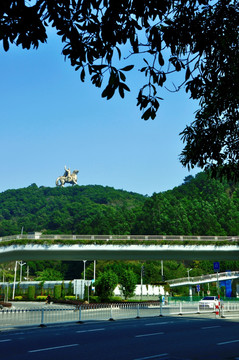 大坪山风景