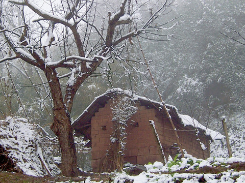 山村瑞雪