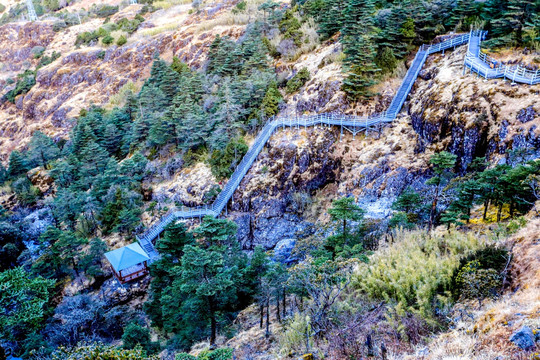 云南轿子雪山景区