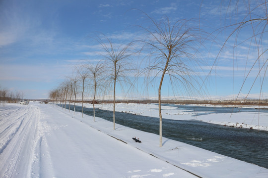 雪路车辙