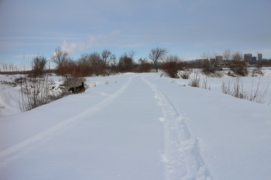 雪路车辙