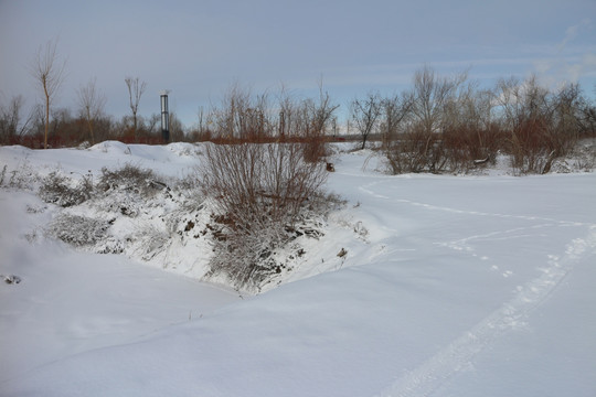 雪路车辙