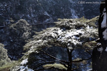 松雪景