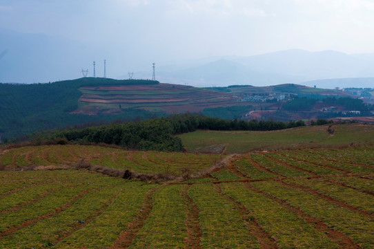 昆明东川红土地