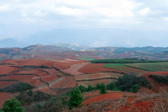 昆明东川红土地