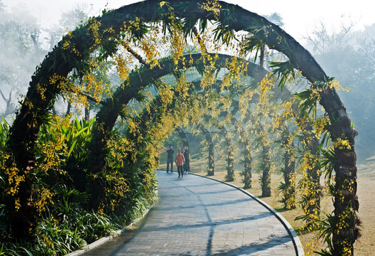 拱形花门 婚纱背景