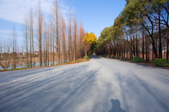 沪杭公路