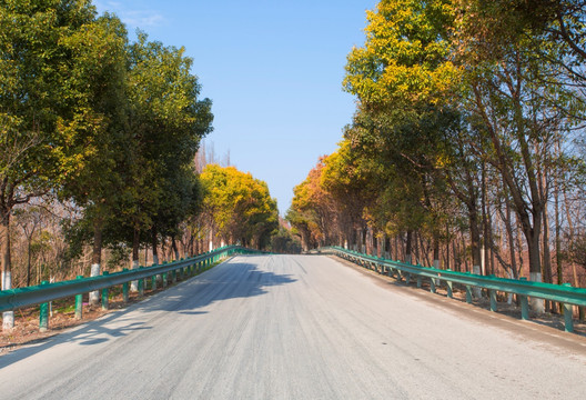 沪杭公路