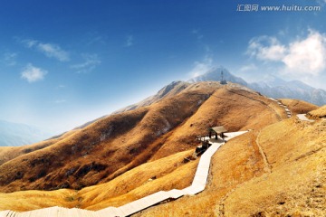 武功山金顶金色高山草甸