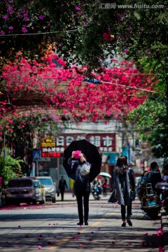 南宁 平西路的春天