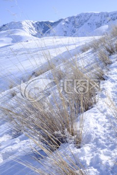 雪山