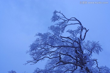 风雪