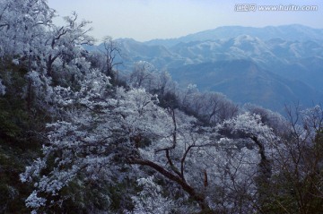 冬雪