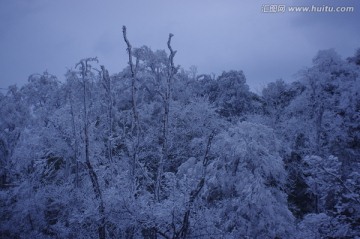 荔波雪景