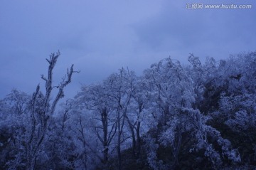 荔波大土雪景