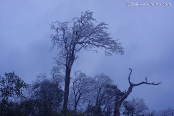 南方雪景