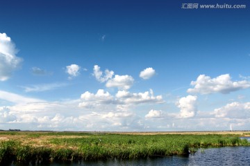 湿地 春天 芦苇 蓝天 白云