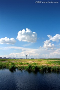 湿地 春天 芦苇 蓝天 白云