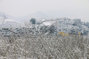 田园雪景