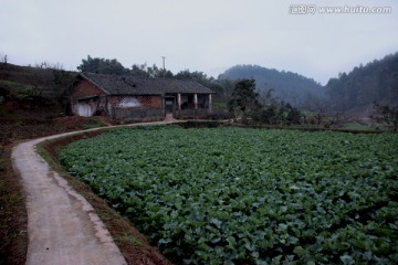 农村田园风光