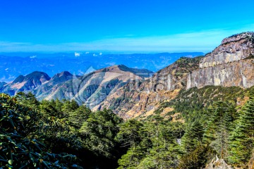 大山 森林