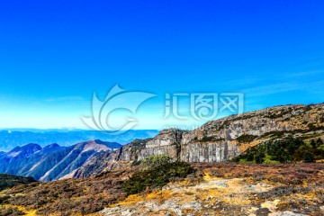 高山草甸